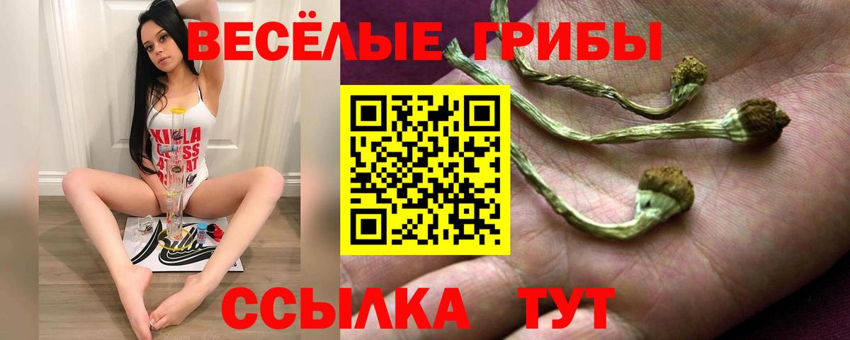 Псилоцибиновые грибы прущие грибы  Вход с VPN  Керчь 
